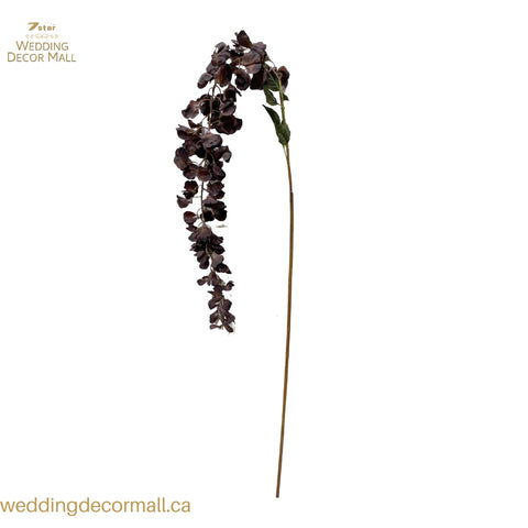 Hanging Orchids (24 stems)