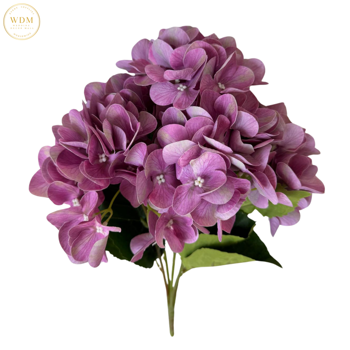 5-Head Hydrangea Bunch