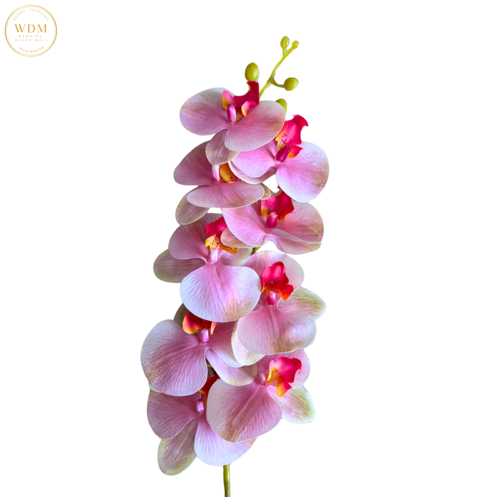 Real Touch Phalaenopsis Orchid Stem