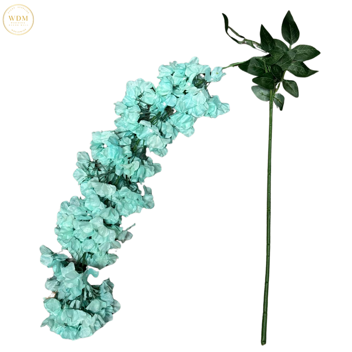 Hanging Orchid *