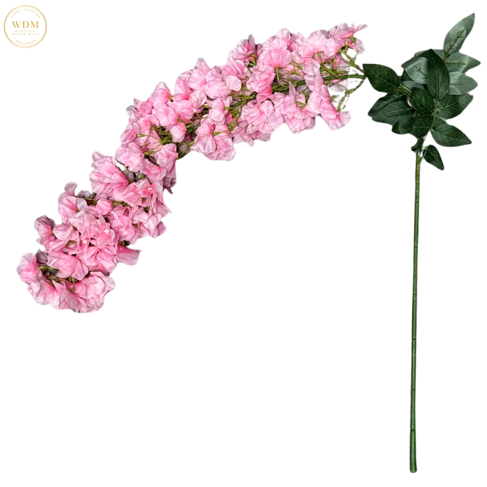 Hanging Orchid *