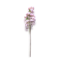 Load image into Gallery viewer, Cherry Blossom Stems (25 pcs)

