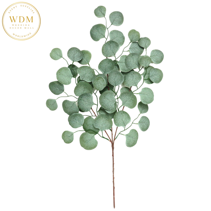 Eucalyptus Stem - Green