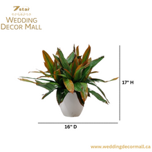 Load image into Gallery viewer, Dracaena Cane Plant insert
