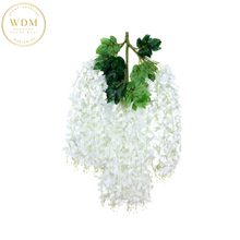 Load image into Gallery viewer, Wisteria Stems - Ivory (12 Pcs)
