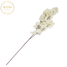 Load image into Gallery viewer, Cherry Blossom Stems - Ivory (24 pcs)
