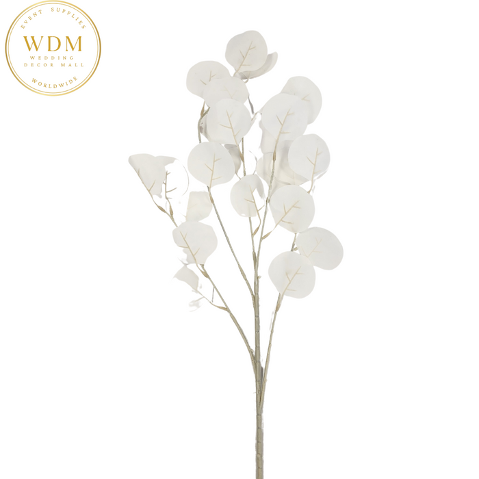 Silver Dollar Eucalyptus Stem - Ivory