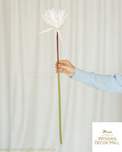 Load image into Gallery viewer, Chrysanthemum (24pcs)

