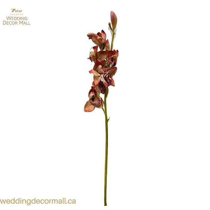 ORCHIDS-BROWN-BUD