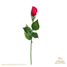 Load image into Gallery viewer, SINGLE STEM ROSE(72PCS)
