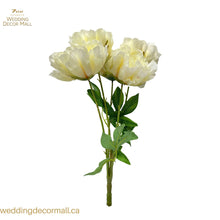 Load image into Gallery viewer, Peony Bush with 5 Heads (18 pcs)
