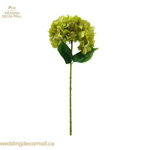 Load image into Gallery viewer, MOPHEAD HYDRANGEA(24pcs)
