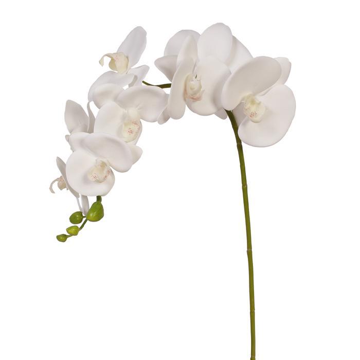 White Orchid Stems (24 pcs)
