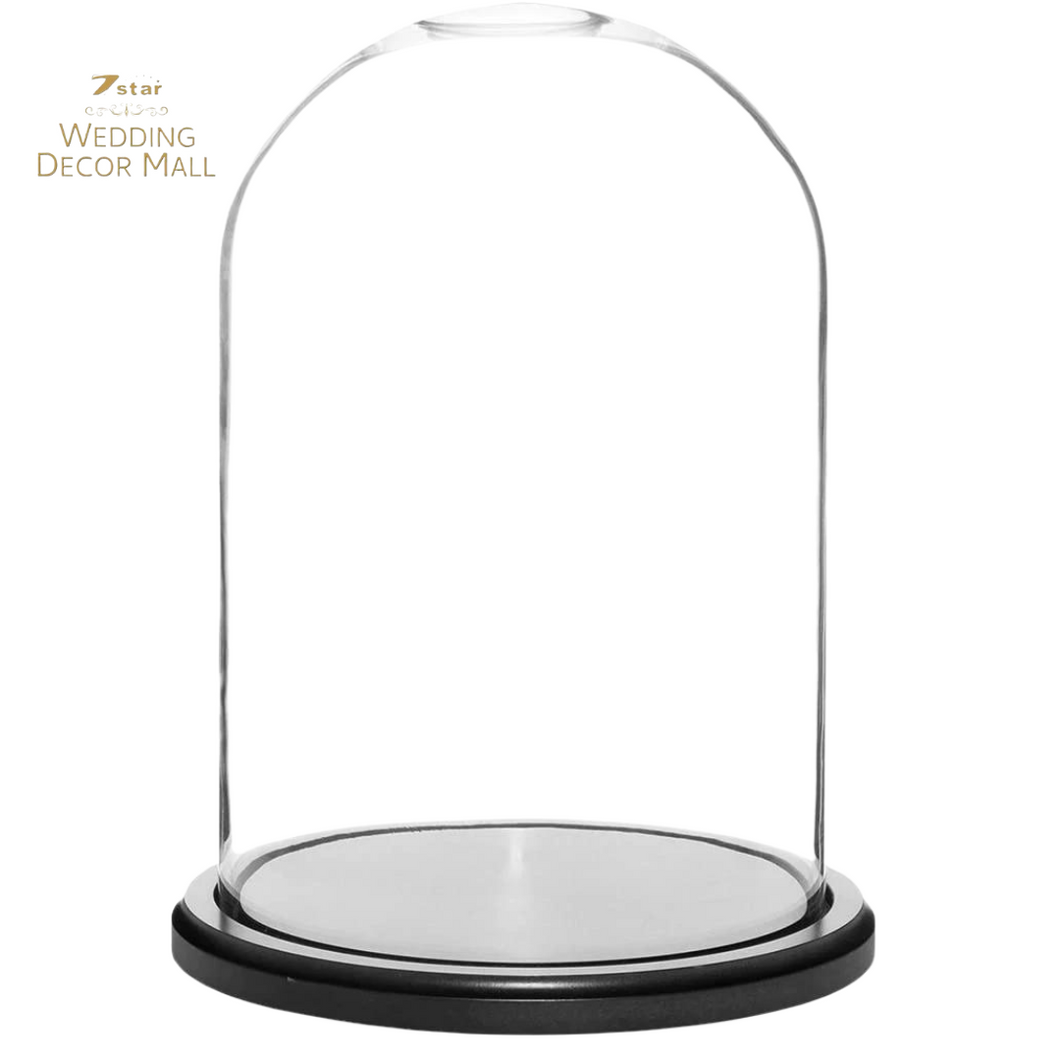 Glass Dome/Cloche with Base