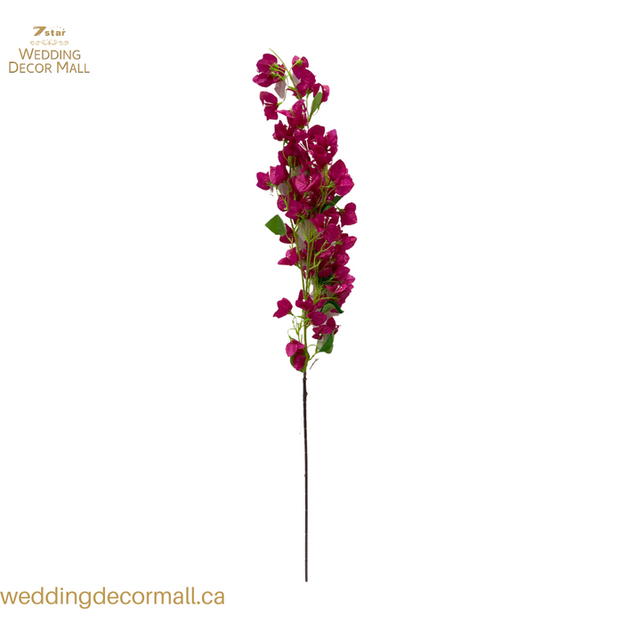 Bougainvillea Stems