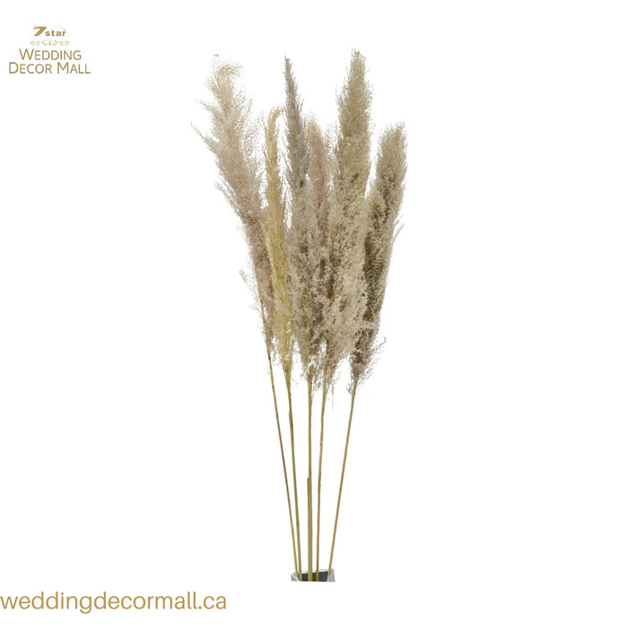 Natural Dried Pampas Grass