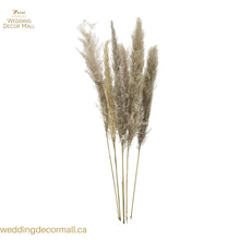 Load image into Gallery viewer, Natural Dried Pampas Grass (5 Pcs)
