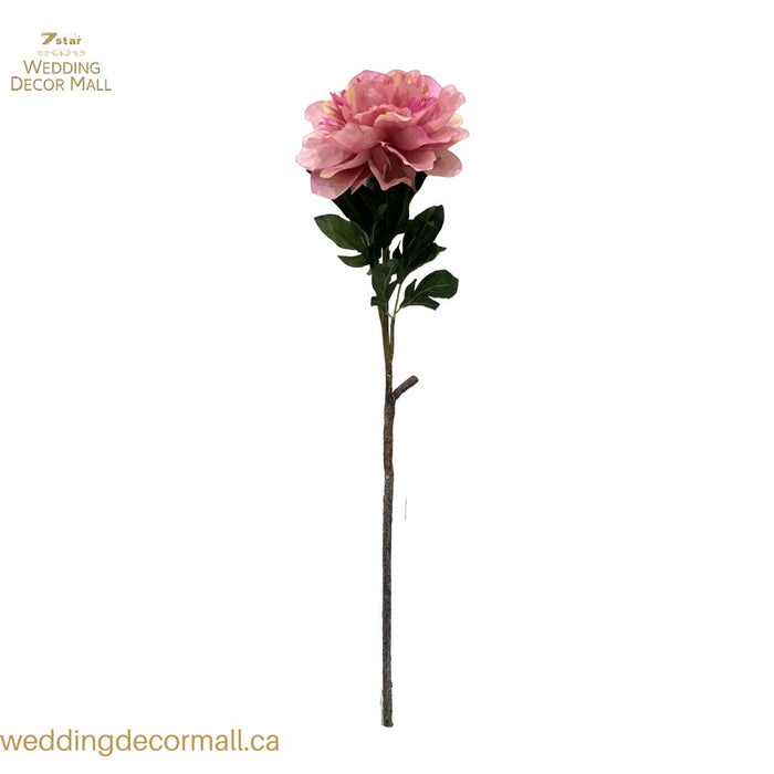 Assorted peony long stems