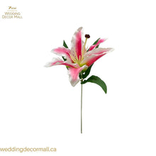 Load image into Gallery viewer, Box of Lily Stems (72 pcs)
