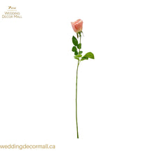Load image into Gallery viewer, Rose Stems (48 Stems)
