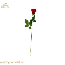Load image into Gallery viewer, Rose Stems (48 Stems)
