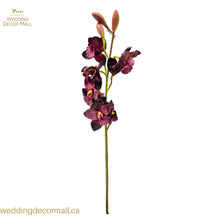 Load image into Gallery viewer, ORCHIDS-BROWN-BUD(12pcs)
