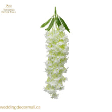 Load image into Gallery viewer, Hanging Jasmine (12 Pcs)

