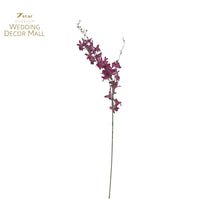 Load image into Gallery viewer, Dendrobium (24 Stems)
