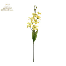 Load image into Gallery viewer, Boat Orchid (24 Stems)
