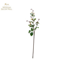 Load image into Gallery viewer, Rose Sprout (36 Stems)
