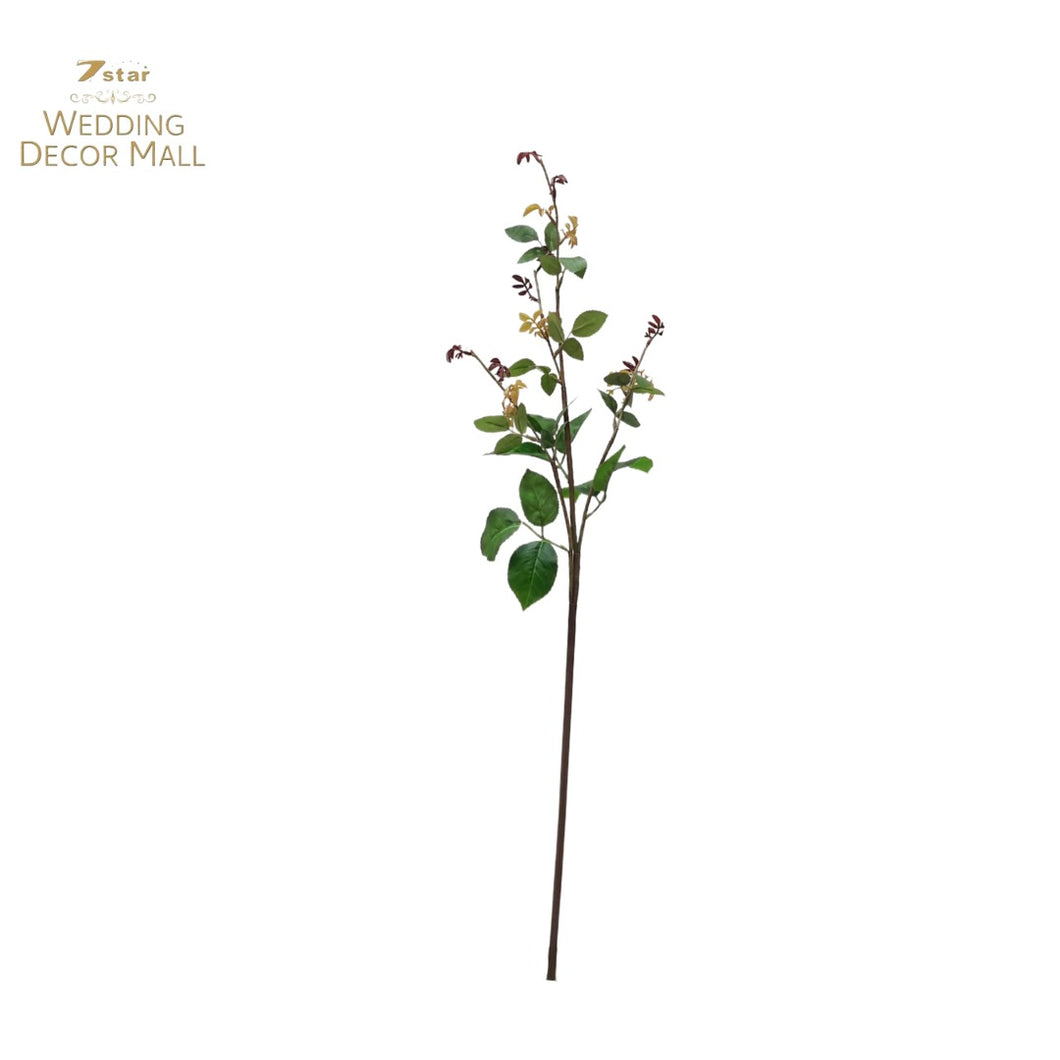 Rose Sprout (36 Stems)