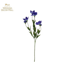 Load image into Gallery viewer, Chinese bellflower Stems (12pcs)
