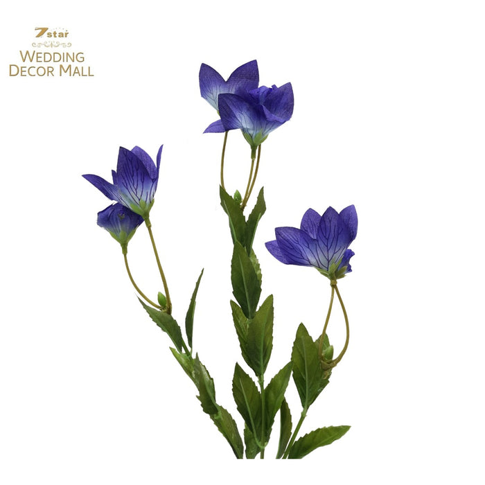 Chinese bellflower Stems