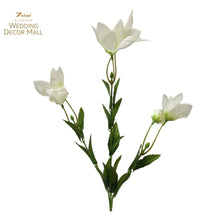 Load image into Gallery viewer, Chinese bellflower Stems (12pcs)
