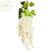 Load image into Gallery viewer, Wisteria Stems 25&#39;&#39; - Ivory (24 Pcs)
