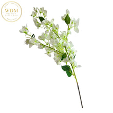 Load image into Gallery viewer, Bougainvillea Stems - Ivory (12 pcs)
