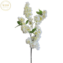Load image into Gallery viewer, Cherry Blossom Stems - Ivory (24 pcs)
