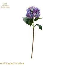 Load image into Gallery viewer, Two toned hydrangea (12 pcs)
