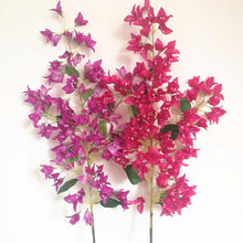 Load image into Gallery viewer, Bougainvillea Stems (25 pcs)
